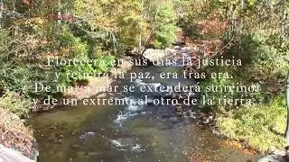 Salmo responsorial 71.- Ven, Se&ntilde;or, rey de justicia y de paz.- Domingo II adviento.- Ciclo A