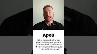 What Is ApoB? Simple Breakdown