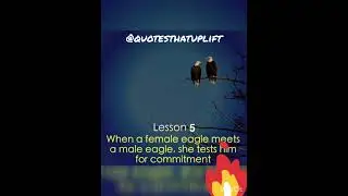 Leadership quotes - eagle quotes about life! &hearts;️ #youtubeshorts #shorts #whatsappstatus