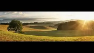 Inner Landscape