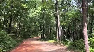Georgia Backroads, Springer Mountain