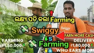 କେଉଁ କାମରେ ଅଧିକ ପଇସା 💵💸 swiggy vs Farming || Which works more money 💵💸 swiggy vs Farming 🔥😃
