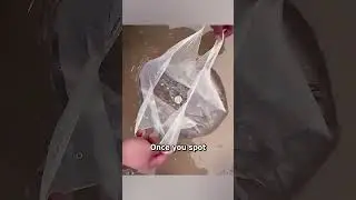 How to Pick Up a Coin Without Touching Dirty Water