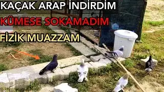 BULUTTAN İNDİRDİĞİM KAÇAK KÜMESE GİRMEDİ.