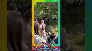 Social Media Vs REALITY  Japan✨ #fyp #viral #japan #instagramvsreality #travel #travelhumor