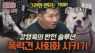 강형욱 vs 폭력 불독💥맞춤 솔루션으로 완벽 제압하는 강형욱⚡| #개와늑대의시간2 4회