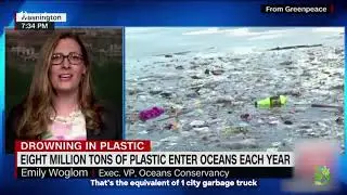 The Story of Plastic - How can we fight this?
