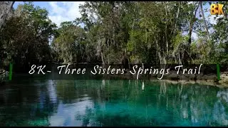 Three Sisters Springs Trail- 8K, Crystal River, FL