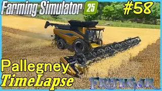 FS25 Timelapse, Pallegney #58: Золотое чудо!