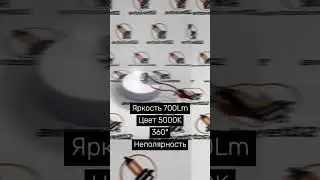 AVTOSVET02 Xenite BS3012 BP3012