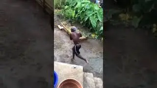 Never knew a Grenadian could fly #Grenada #hardware #funny #shorts  #Support 🤣🤣🤣🤣🤣