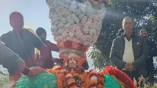 बड़ा देउ जियापाल ब्रह्मा जी 💝 के साथ देउली 🚩 part -1 #malik #prmeshwar #brahma 🚩