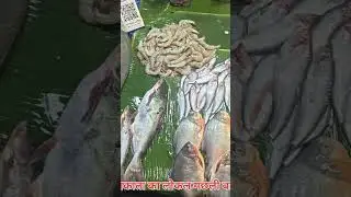 Kolkata ke local machhali Mandi #fish #fishmarketKolkata #ytshorts #wholesale #मछलीमार्केट