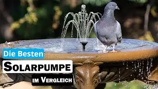 Besten Solarpumpe im Vergleich | Top 5 Solarpumpe Test