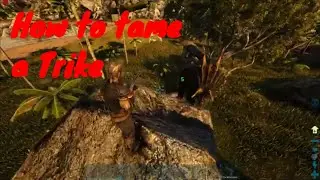 Ark Survival Evolved &ndash; How to Tame a Trike (Beginner&rsquo;s Guide)