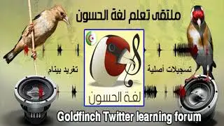 تغريد غابة بينام العاصمة   القالوبي  bainem