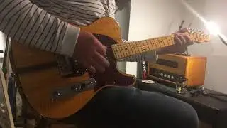 Hohner Professional 