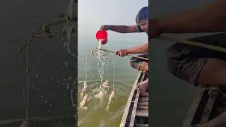River fishing secret method with hook 16 #fishing #short #survival