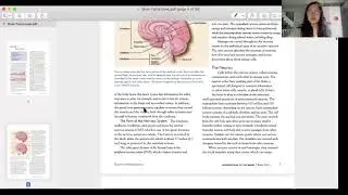 Как подготовиться к конкурсу Brain Bee (подробно)