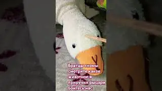 оно такое быстрое #гномы #рыцари #мем