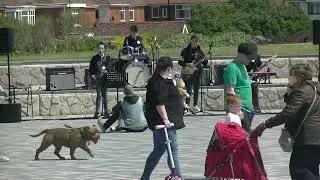 Anchorsholme Park Platinum Jubilee Show.  04th June 2022  Blackpool Music School Rock Star Band.