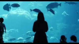 ].muirauqA[