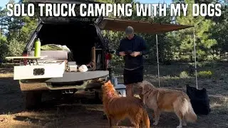 SOLO TRUCK CAMPING with my DOGS - Coconino NF Arizona - Pine Trees