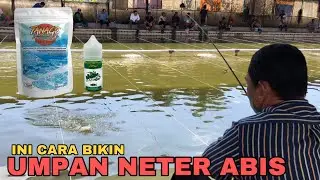 RACIKAN UMPAN TANAGO WANGI NETER BANGET