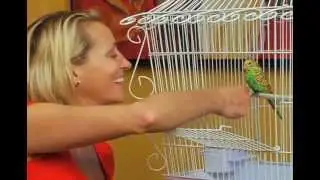Perfect Polly Pet - Official As Seen On TV Commercial