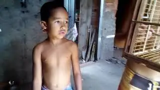 Lipano a gaiola do canarip