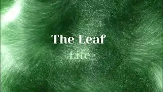 The Leaf  ( Life ) written by Dennis Brown