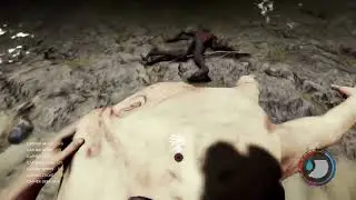 The Forest raft glitch!