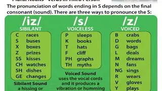 HOW TO PRONOUNCE THE FINAL S        / S / أو / Z/ أو  / IZ /
