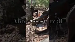 Slightly damaged car #animals #therian #nature #meme