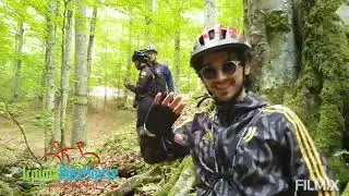 Terminio Trail