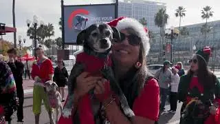 Pet Parade & Pups in the Pub Party | Gaslamp Quarter San Diego 2025