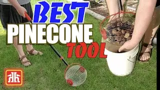 BEST TOOL FOR YOUR YARD!!! Nut Gather with Telescopic Handle from Home Hardware! | PICK UP PINECONES