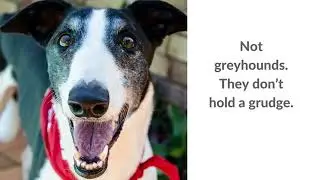 Gumtree Greys Sunsuper final V4