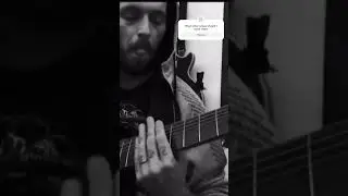 #cover #metal #djent #metalcover #neuraldsp #ibanez #neoni #egzod #royalty #maestrochives #edm #trap