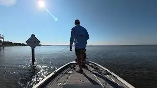 Drop shot white trout