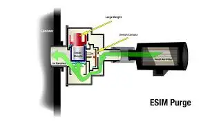 A Closer Look: EVAP System Integrity Module (ESIM)