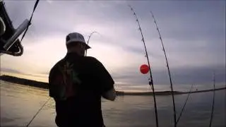 11/27/15 Blues Brothers Charters