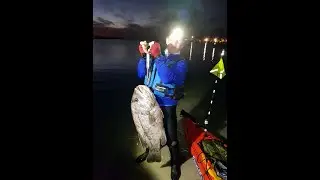Geoff & Dee's first Dhufish from the kayaks