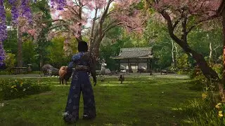 Assassin's Creed Shadows Hideout Tour - Animal Sanctuary