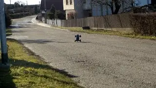 Acme raptor Truggy FAST RWD 3S