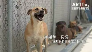 2025-10-01 台南永康貓狗園區整建工程完工 動物救援小組全程紀錄精華呈現