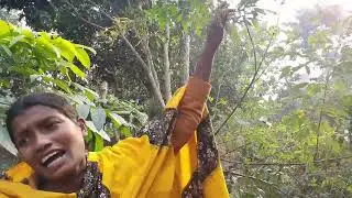 নিজেদের গাছের সবজি তুলে আজকে সবজি খিচুড়ি রান্না করে খেলাম 