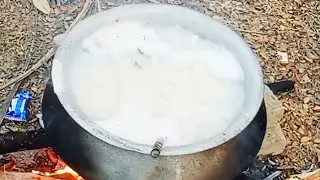 সুন্দরবন এসে অনেক মজা করলাম #cookingreels #shorts #shortvideo #viralvideo 