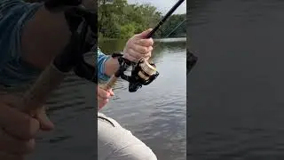 Huge fish unspooling my line #hugegfish #spooling #reel #rodandreel #fishing #fish #nature #wildlife