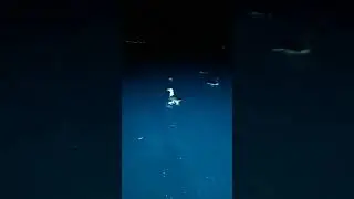 والله متعة صيد السردين في زيامة منصورية جيجل